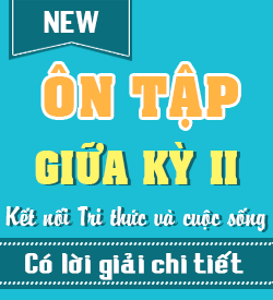 Ôn tập Giữa Học kỳ II (KNTT_11)